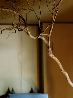 ファイル名: 120317_a05.jpg
ファイルサイズ: 15.2KB 120317_a05